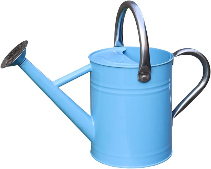 yourjoy Metal Watering Can, One Gallon Watering Cans Stainless Steel for Outdoor Indoor Garden Plants Watering (Stainless Steel Handle Blue) - Image 1